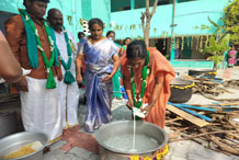Pongal Celebrations