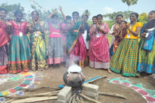 Pongal Celebrations