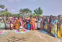 Pongal Celebrations