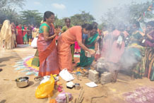 Pongal Celebrations